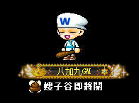 八加九GM
